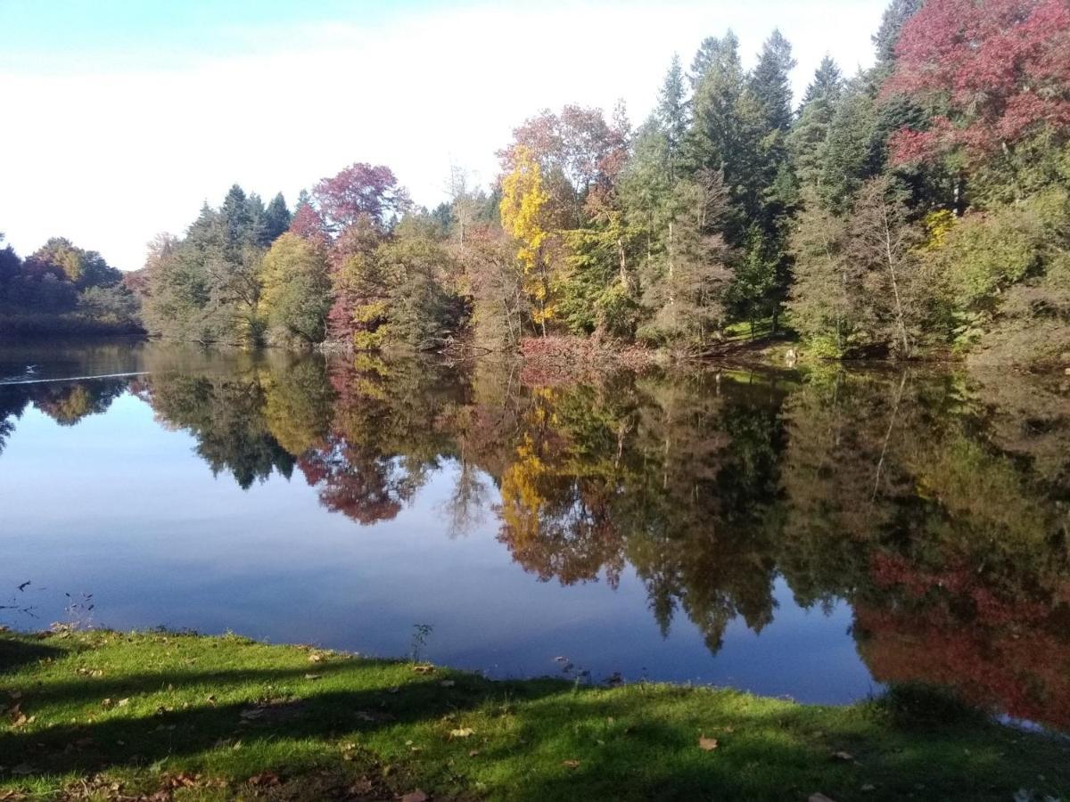 Gite De L'Arboretum Dompierre-les-Ormes 外观 照片